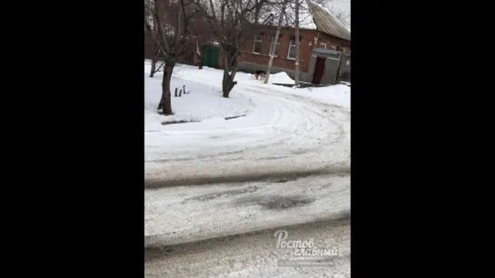 Овчарка гуляет сама по себе 28.2.2018 Ростов-на-Дону Главный