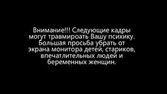 Крокодил разорвал (распотрошил) зебру