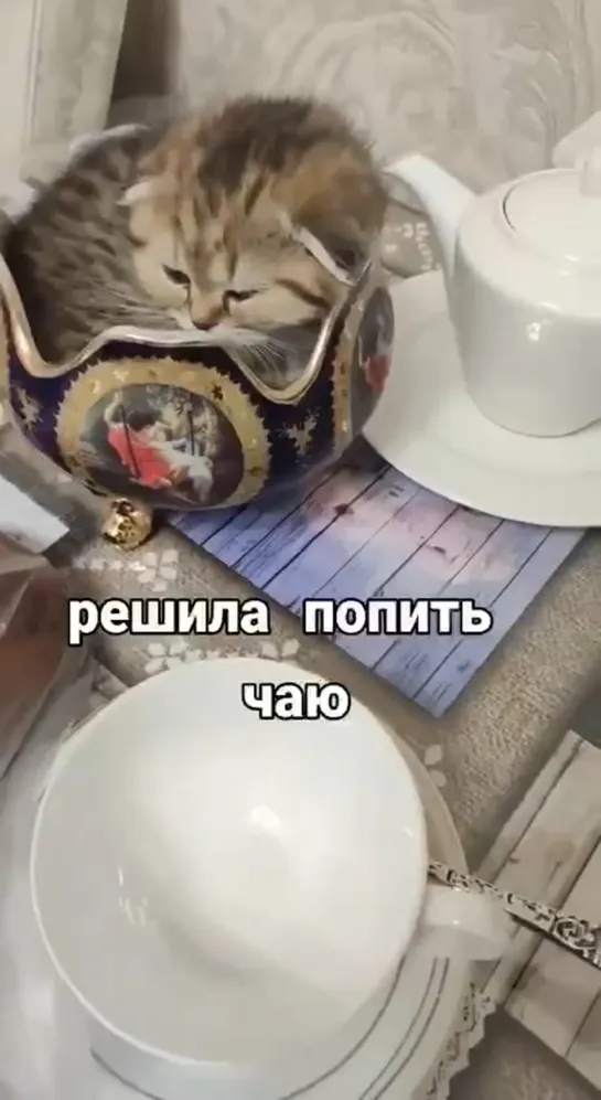 Попить чай