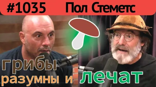 Джо Роган - Пол Стеметс о пользе грибов, мистических свойствах, разумности, кордицепсе и др.