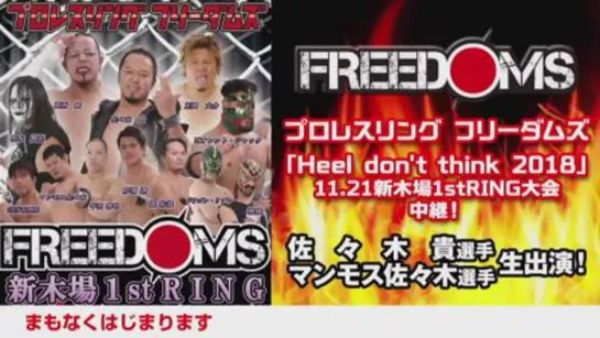 Pro Wrestling FREEDOMS Heel Don't Think 2018 (2018.11.21)