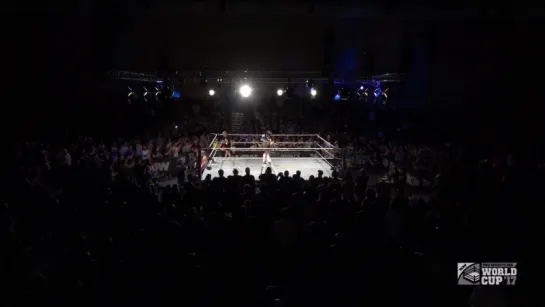 WCPW Pro Wrestling World Cup 2017 (2017.08.26) - День 3 (Final)