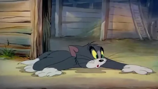 Tom & Jerry (Том и Джерри). Сборник новых серий