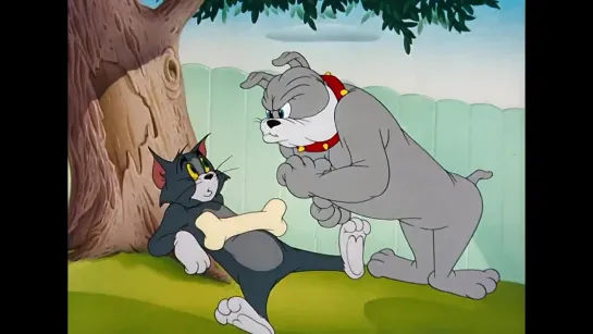 Tom et Jerry en Français _ Un régal _ WB Kids