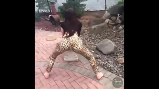 The 70 hottest Twerk Vines [August 2014]