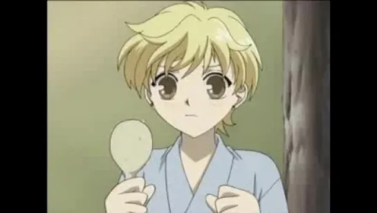 Fruits Basket - 12