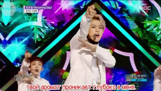 [РУСС. САБ] 180414 EXO-CBX - Blooming Day @ Show Music Core