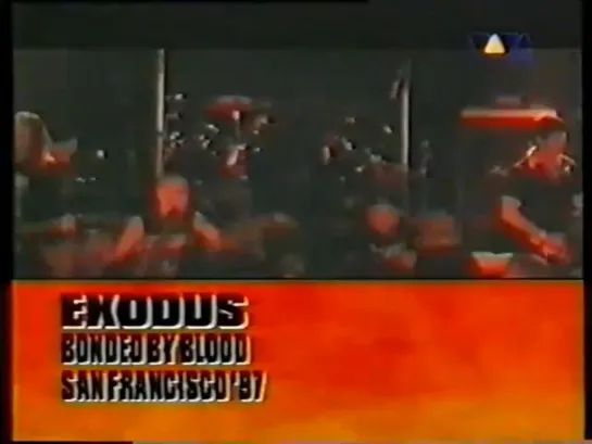 Exodus - San Francisco 08.03.1997 (Live & Interview) [VIVA METALLA]