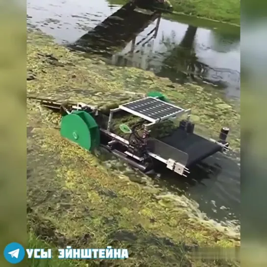 Идея для чистки водоемов