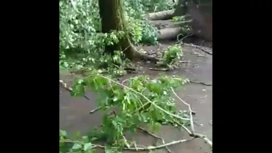 В Казани сегодня был ураган(