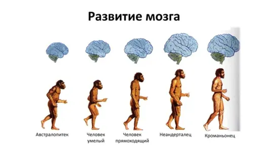 Общая биология 07 - Эволюция I - Хронология жизни и теории (9 класс)