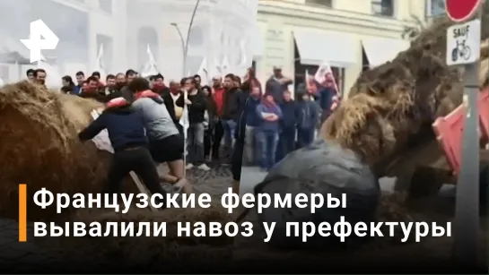 Европейские фермеры протестуют против резкого роста цен на электроэнергию / РЕН Новости