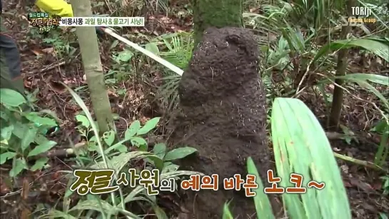 Law of the Jungle in Brazil / Законы Джунглей в Бразилии- Ep.109 (Онью (SHINee), МинУ (SHINHWA)) [рус.саб]