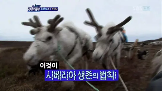 Law of the Jungle in Siberia 03