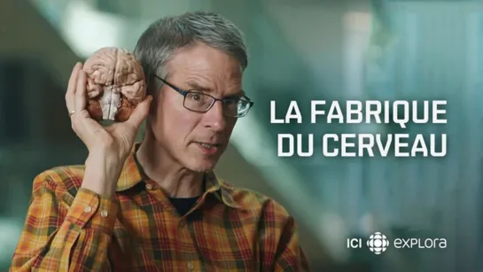 "Фабрика мозга / La Fabrique du cerveau / Brain Factory"