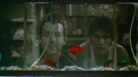 La ley de la calle (Rumble Fish, 1983) Francis Ford Coppola