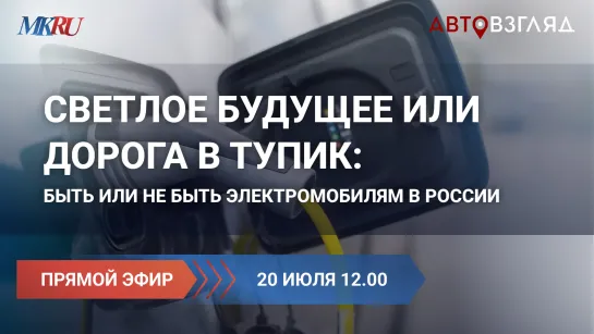 Светлое будущее или дорога в тупик: быть или не быть электромобилям в России