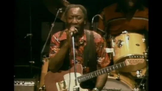 Muddy Waters - Live At The Chicago Blues Festival (1998)