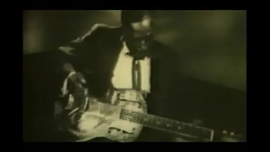 A Tribute to Muddy Waters  King of the Blues (1998)