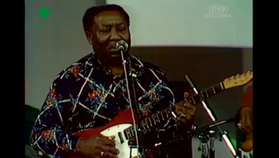 Muddy Waters Blues Band - Jazz Jamboree (1976)