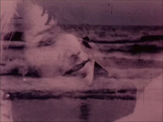 FUSES (CAROLEE SCHNEEMANN, 1967)