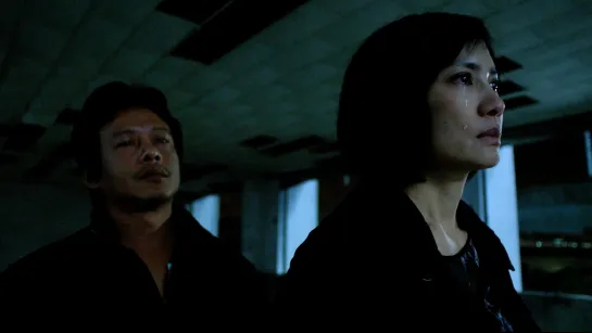 CÃES ERRANTES / STRAY DOGS (TSAI MING-LIANG, 2013)