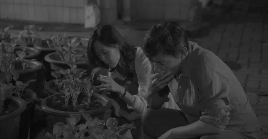 GRASS (HONG SANG-SOO, 2018)