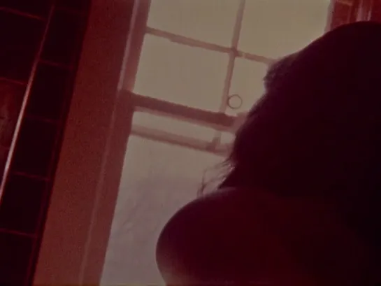 WINDOW WATER BABY MOVING (1959, Stan Brakhage)