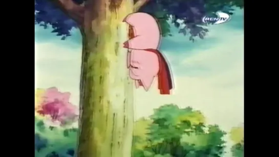 08  -  1994 -1995  Суперпоросёнок  Super Pig