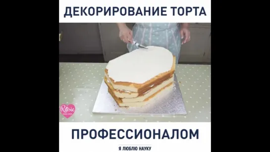 #творческие_гостиМР