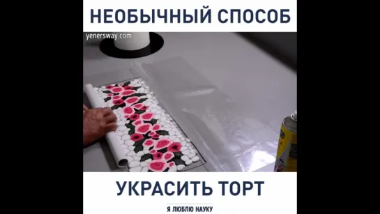 #творческие_гостиМР