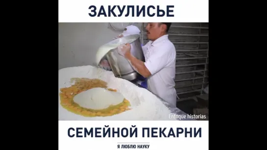 #творческие_гостиМР