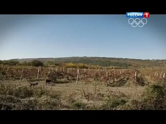 Восход Победы. Падение блокады и крымская ловушка.