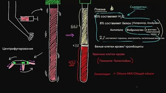 Состав крови