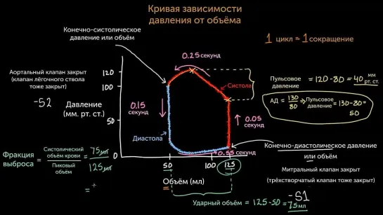 Понимание кривой зависимости давления от объёма