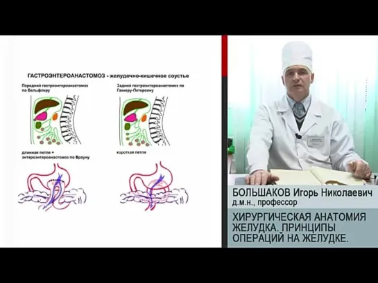 Большаков - Желудок