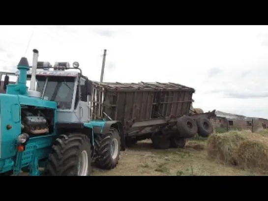 Видео от Виктора Алексеева