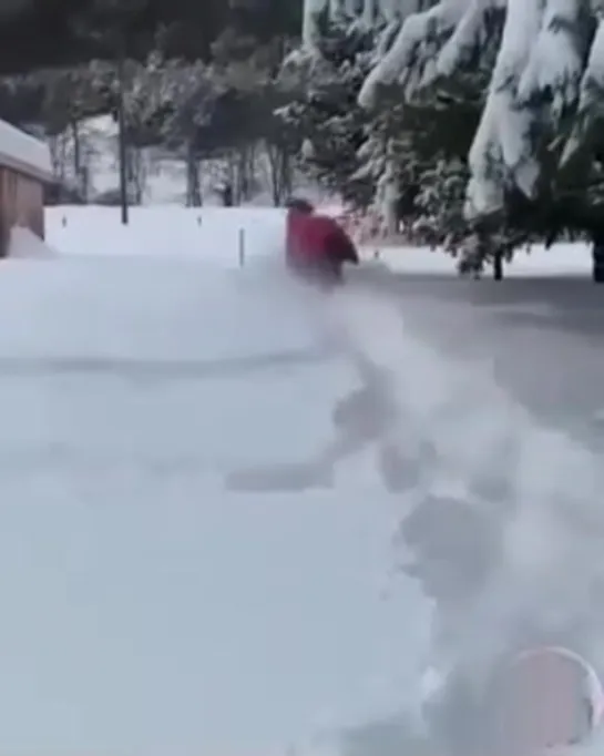 Радуется зимним сугробам.