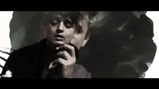 Peter Doherty - I Dont Love Anyone (but Youre Not Just Anyone) (2016) (Indie Rock)