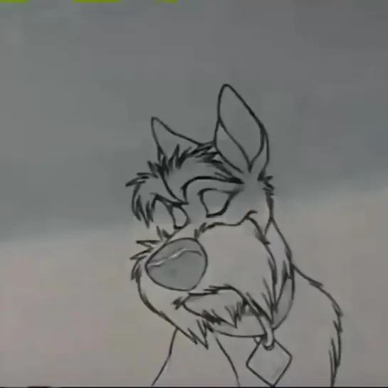 Pencil test - Lady and the Tramp - Frank Thomas