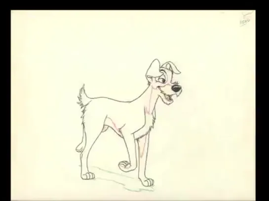 Pencil test - Lady and the Tramp - Milt Kahl