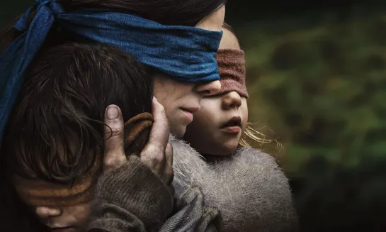 Птичий короб / Bird Box (2018)