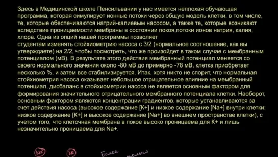 Поправка к видеоролику, посвященному натрий-калиевому насосу