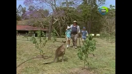 "Приключения Скиппи / The Adventures of Skippy" (1993 - 1994) (Австралия)