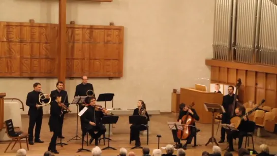 G. P. Telemann - Concerto in D TWV 54:D2 per 3 Corni da Caccia, Violino ed Orchestra - YOFIN Barockensemble Zurich