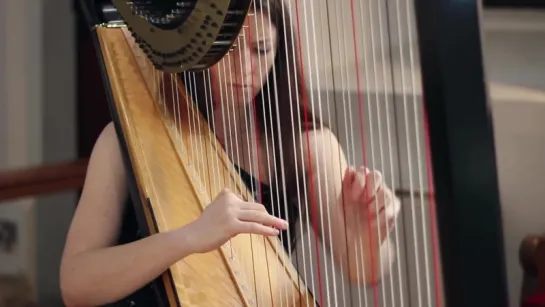 565 J. S. Bach - Toccata and Fugue in D minor, BWV 565 - Amy Turk, Harp