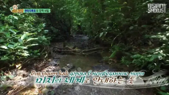 Law of the Jungle: Hidden Kingdom Special in Brunei - Ep.4 (150814) [рус.саб]