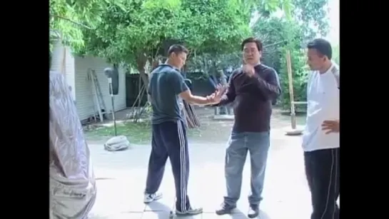 Wing Chun. Гарри Лам. Удары ногами.