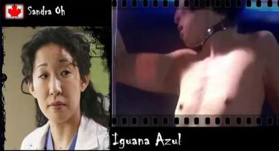 Sandra Oh - Iguana Azul