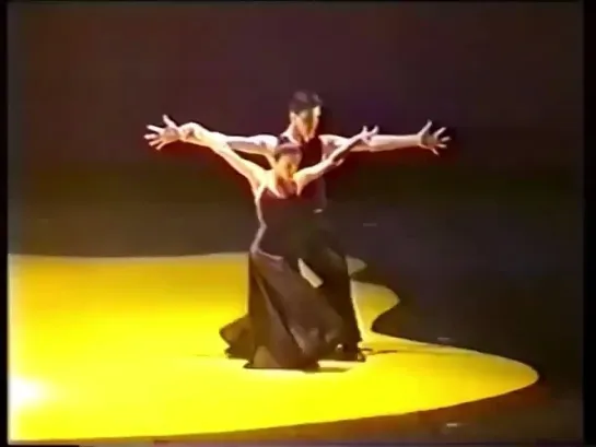 «Желтое танго» - «Dzeltenais tango». Alla Sigalova. Gidon Kremer.  Astor Piazzolla. Танго. Tango.